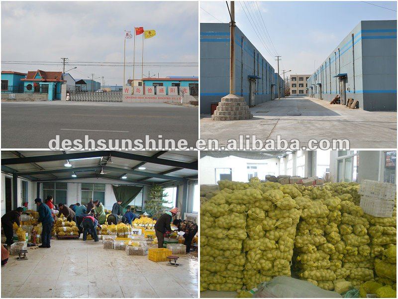 2012 New Crop Grade A Chinese potato price