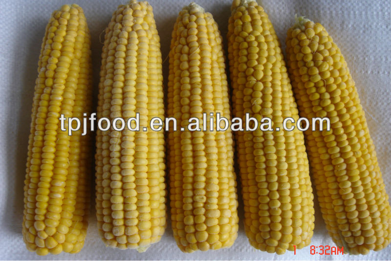 Frozen sweet corn kernels with low price