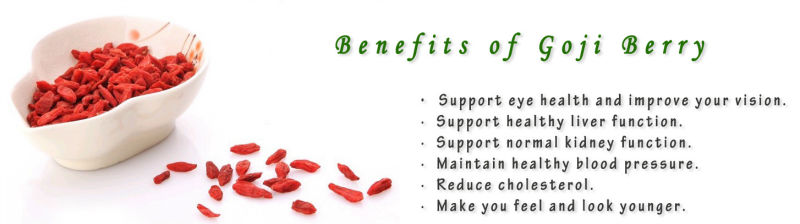 ningxia goji berry hot sale