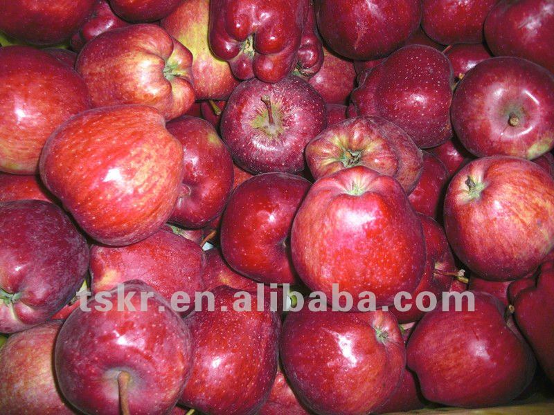 list of vegetables summer red apple