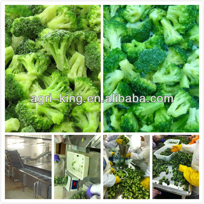 New Harvested Frozen Broccoli Florets