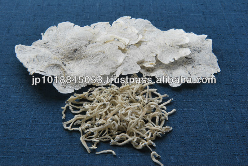 High quality Japanese Seafood snacks Shirasukko (Bottle) 30g
