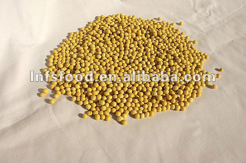Organic Dried soybean non gmo