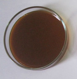 soya lecithin non gmo