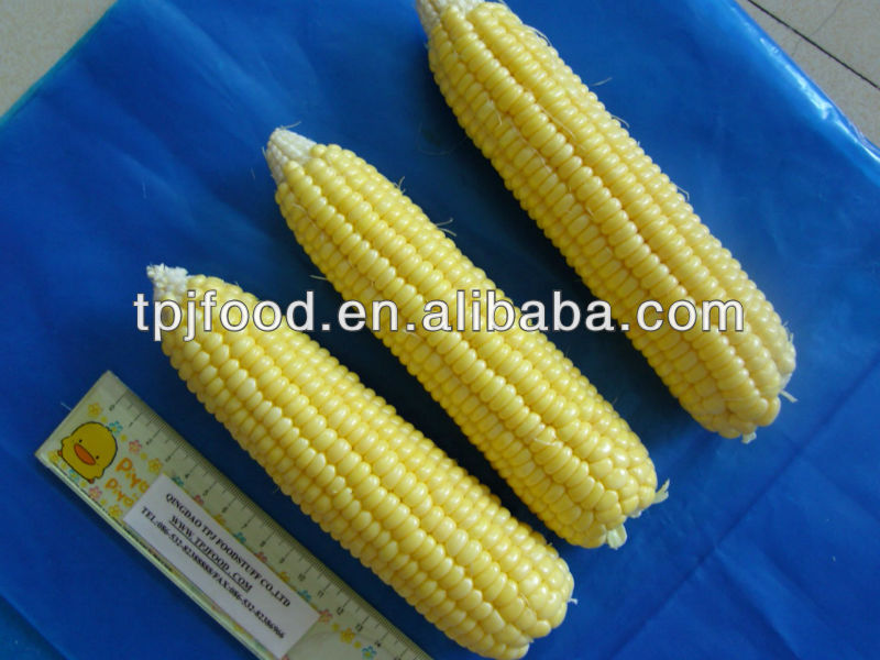 Frozen sweet corn kernels with low price