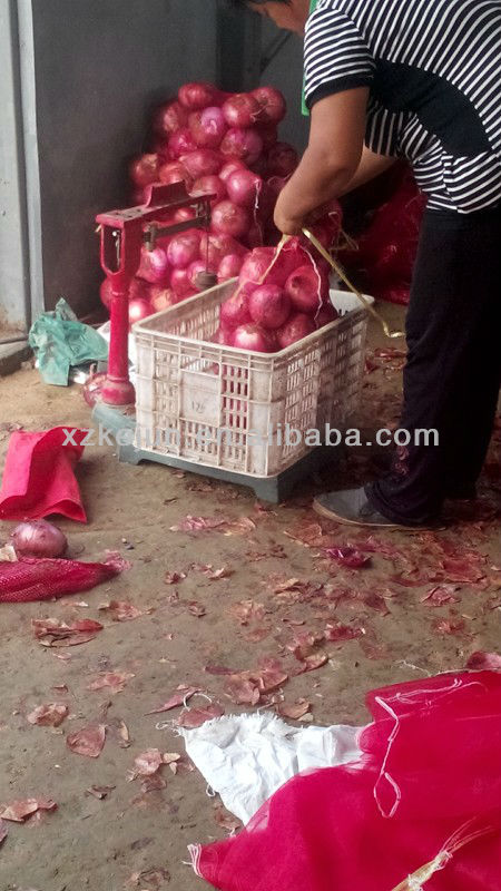 2013 Fresh Red Onion with 20kg mesh bag package