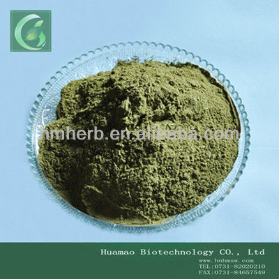 Supply Pure Rosmarinic Acid Powder From Natural Rosemary Extract