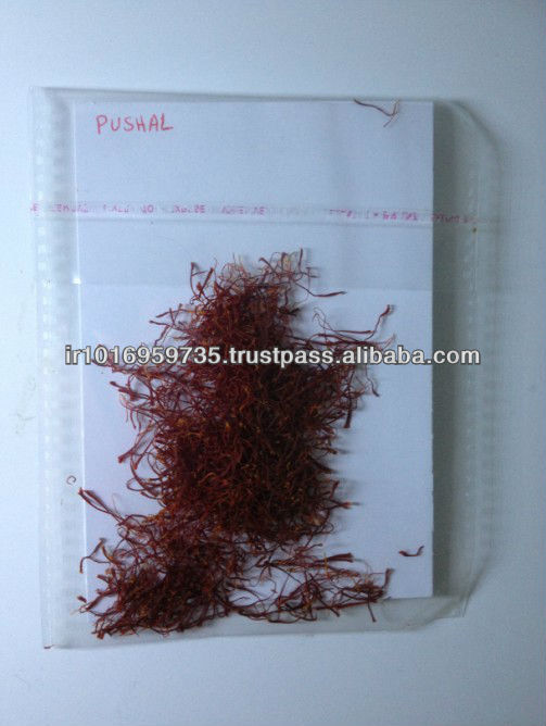 best iranian saffron crocus