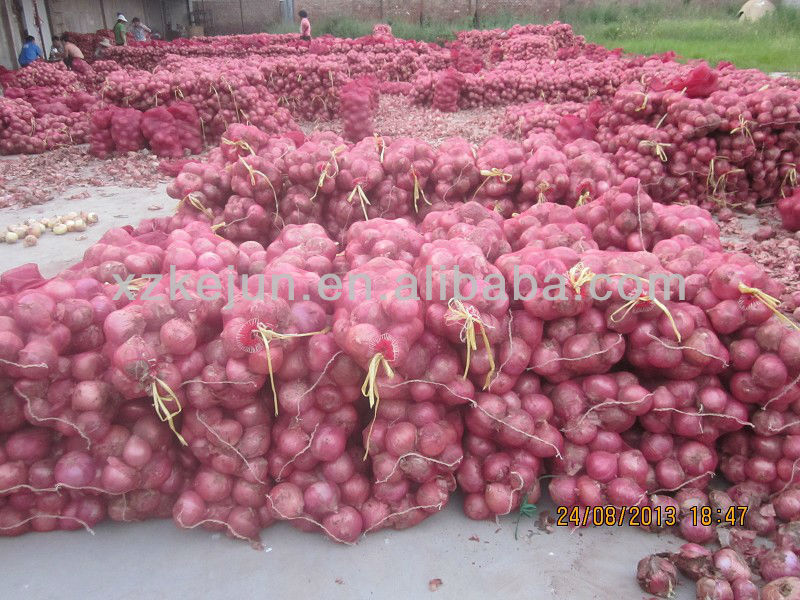 10kg mesh bag package of fresh onion