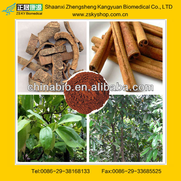 Cinnamon Bark Powder Extracts from GMP manufacturer