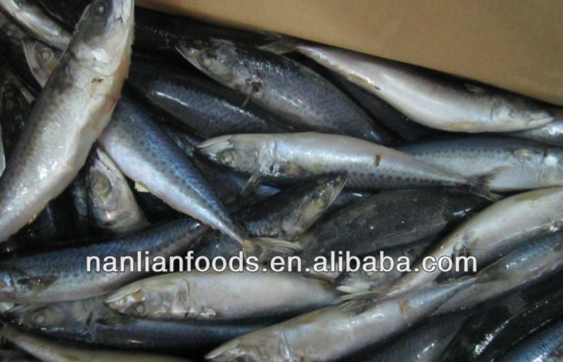 200-300sea5