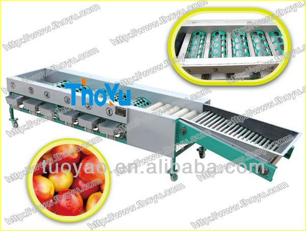洗浄とグレーディングマシン/フルーツ/重量によってトマトの選別機問屋・仕入れ・卸・卸売り