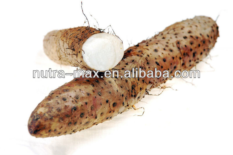 NutraMax Supplier - 6%~98% Wild Yam Extract Diosgenin (CAS : 512-04-9)