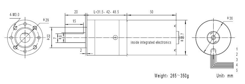 GMP36-TEC3650