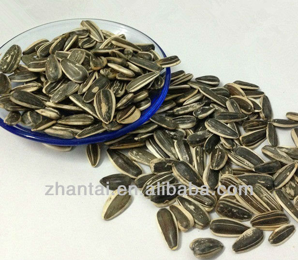 318 black sunflower seeds as nuts snacks