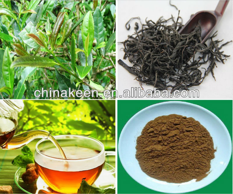 Instant Black Tea Extract Powder Stocks for Sale
