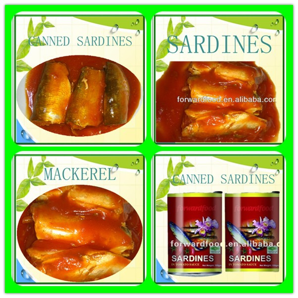425g best canned Sardines in brine, tomato sauce, oil(canned fish)