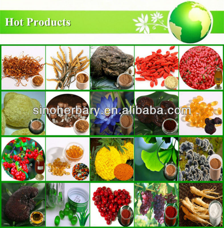 Best aloe vera powder price and aloe vera extract manufacturer