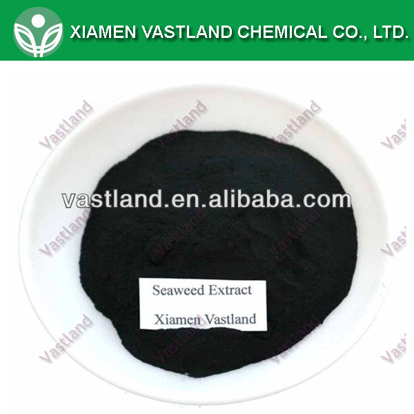 seaweed extract_.jpg