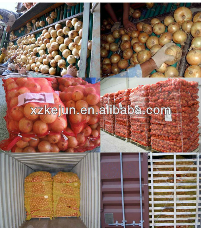 exporting grade round yellow onion