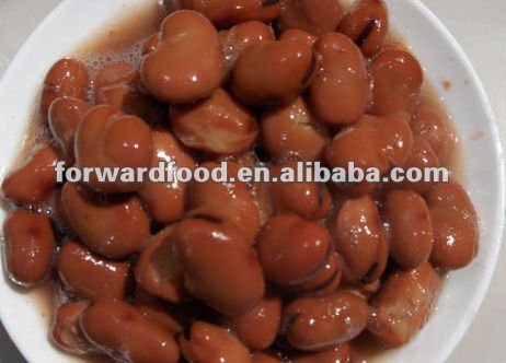 2840G Cheap and Fine canned broad beans canned kidney beans