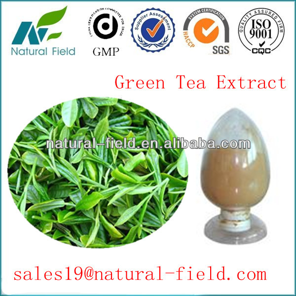 green tea extraction polyphenols powder 50%-98% by UV
