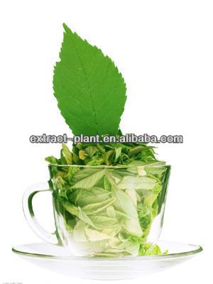 Chinese Green Tea Extract with 95% tea polyphenol