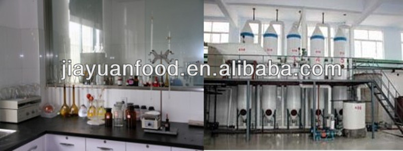 Supply Best High Maltose Syrup