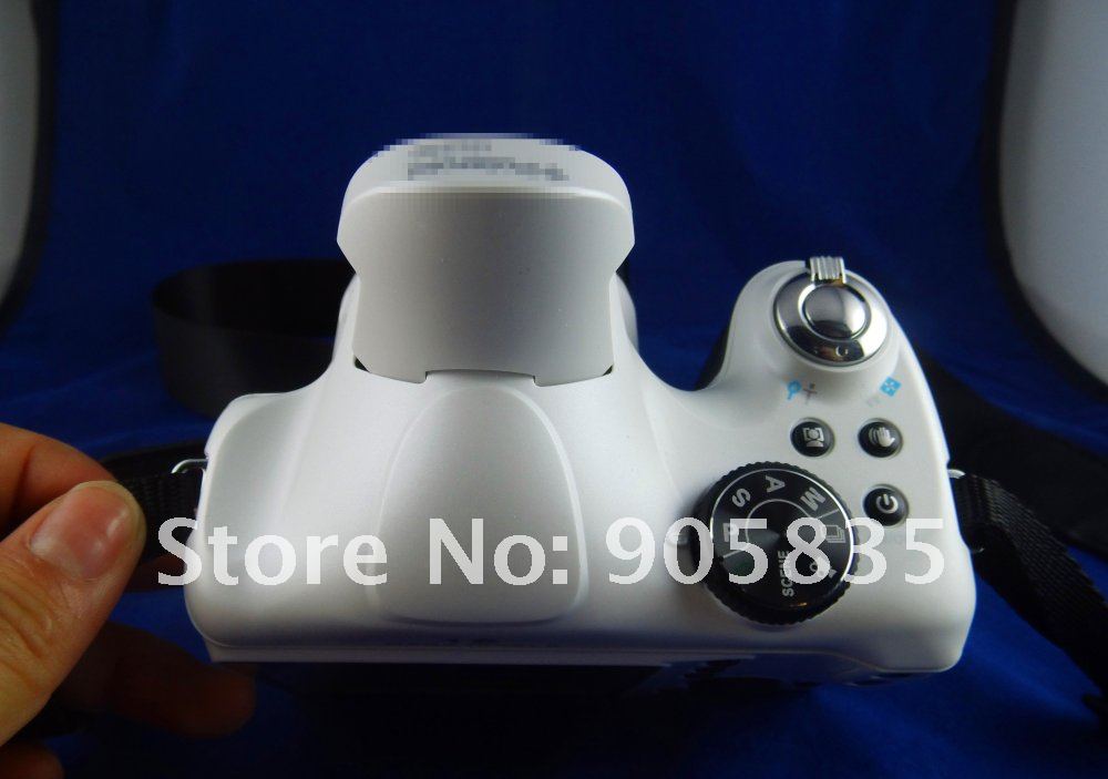 DSCI1155_.jpg