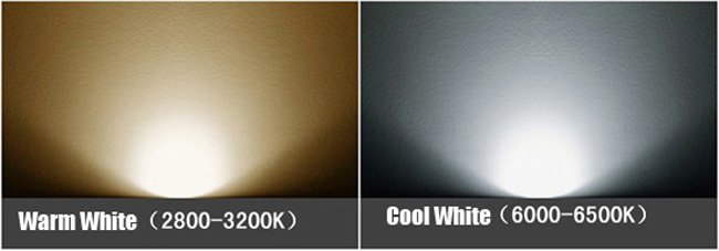523359233_818