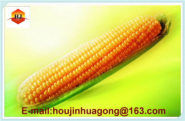 Non-GMO corn Modified corn starch food additive
