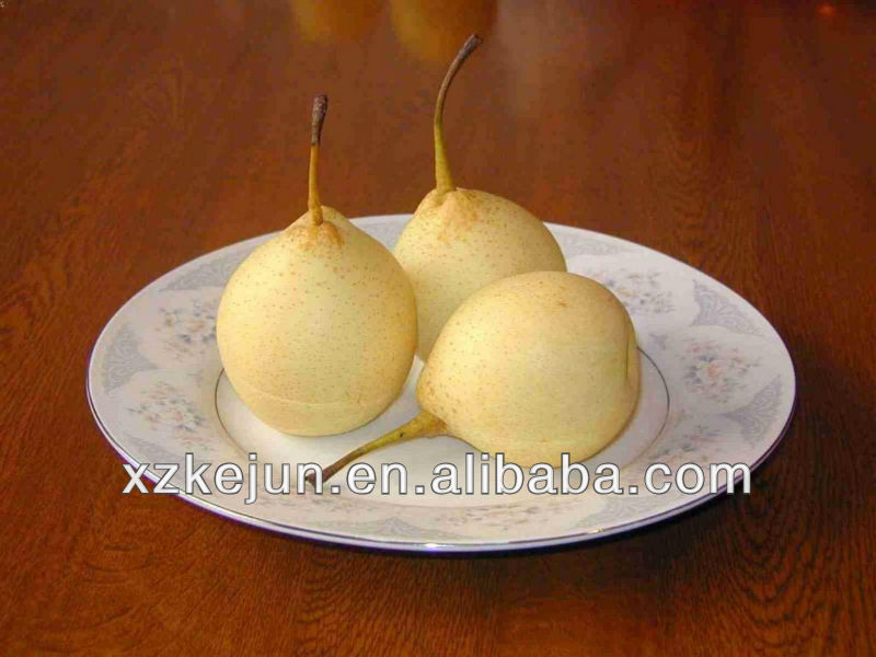 2013 New crop fresh Ya Pear