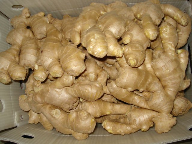 fresh ginger and ari-dried ginger
