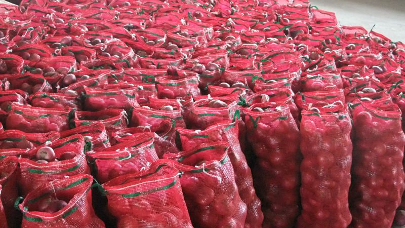 2012 new crop fresh red onion