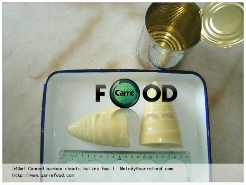 Choice bamboo shoots for low price canned bamboo shoots with good tasted bamboo shoots sliced