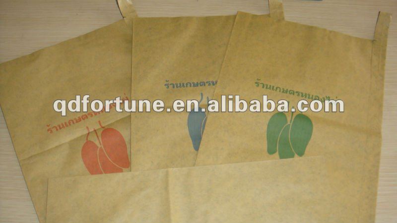 2 layers mango grow paper bag