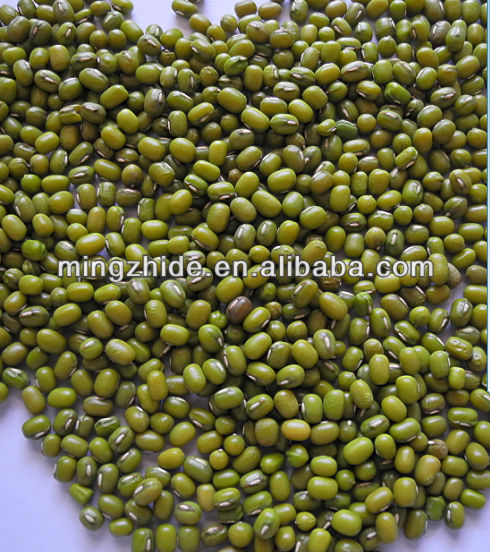 green mung beans specification