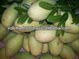 Fresh and Frozen Ripe and UnRipe Mango(Whole, Slices)