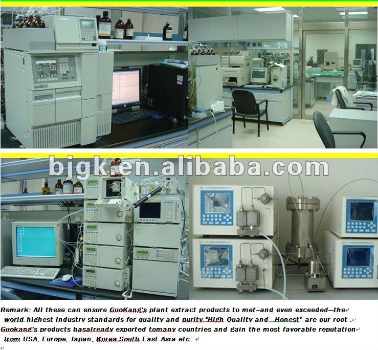 Barbary Wolfberry Fruit Extract,Lycium barbarum polysaccharides