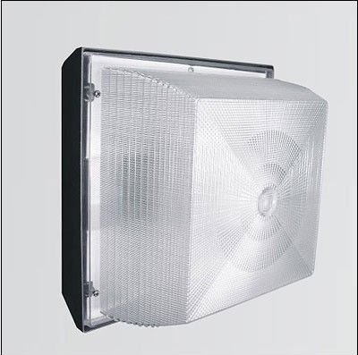 Electrodeless induction lamp ceiling Lights