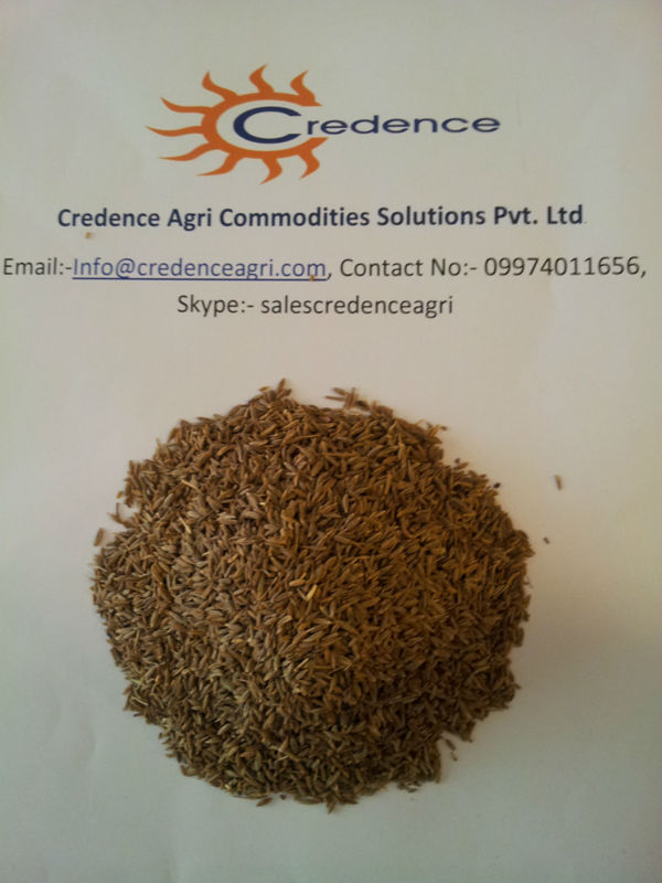 Machine clean cumin