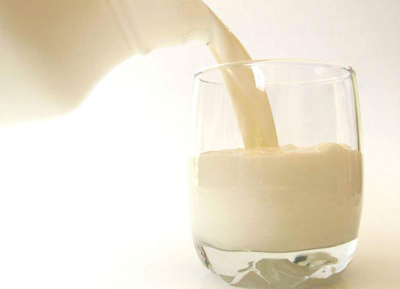 Milk Processing Machine With Best Quality