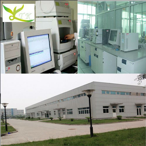 Stevia leaf Extract steviosides 95%,Stevia Extract 98%RA