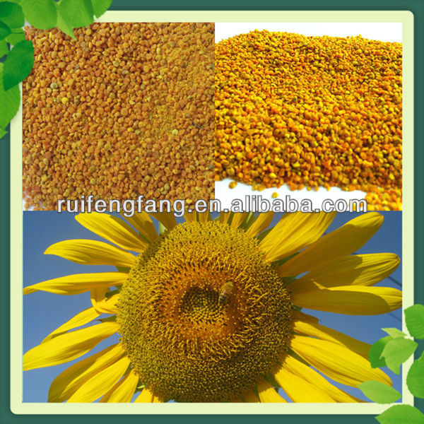 Wholesale protein powder health food refined honey bee pollen powder