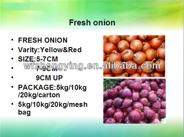 2013 high demand products---base plant come out new corp carrot, fresh carrot,carrot price wiath top quality and standard