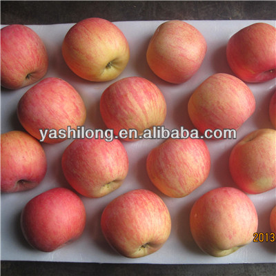 export Red apple in lowest price for buyer who bulk buy from china