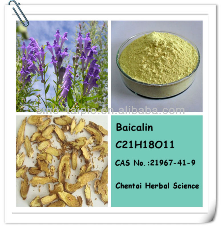 Herbal Extract-Scutellaria Baicalensis Extract 85% HPLC