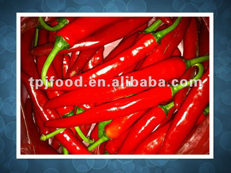 frozen chilli (jinta) with FDA BRC,HALAL,HACCP,KOSHER