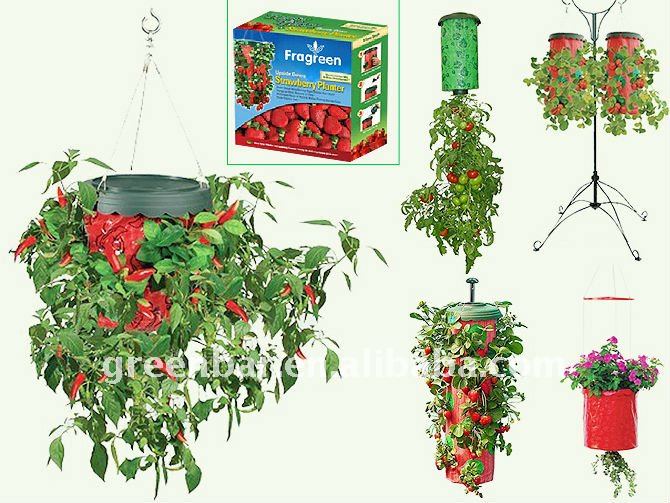 Fantasieの美しい庭のトマトまたはいちごまたはナスの掛かるバスケット問屋・仕入れ・卸・卸売り