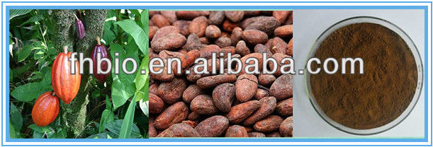 100% Natural Cocoa Bean Extract/ Cocoa Bean P.E.